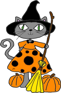 a halloween kitty witch